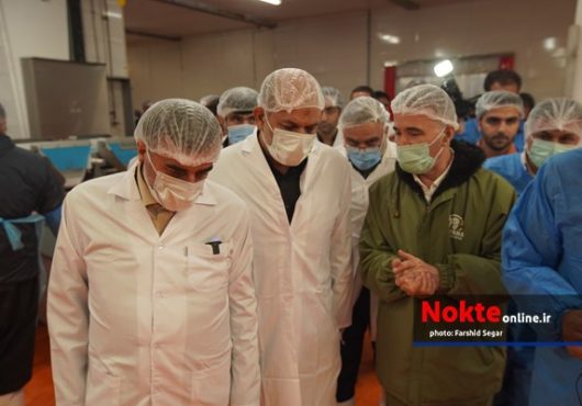 تصاویر/ بازدید وزیر کشور از زنجیره تولید گوشت مرغ ساوانا در گلوگاه