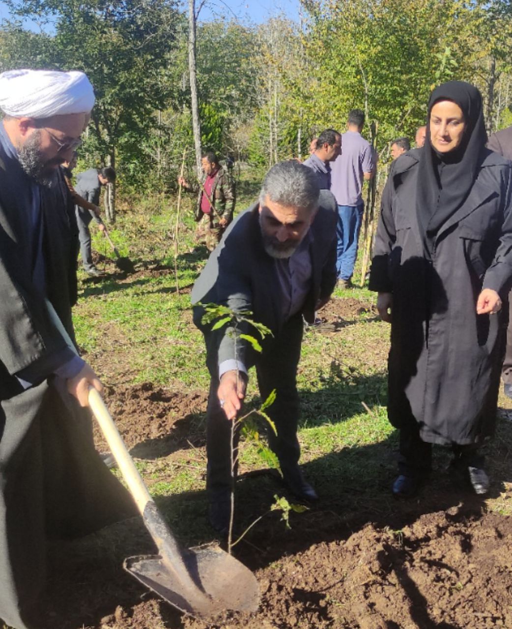 طرح سراسری کاشت یک میلیارد درخت با مشارکت مردم در مازندران آغاز شد