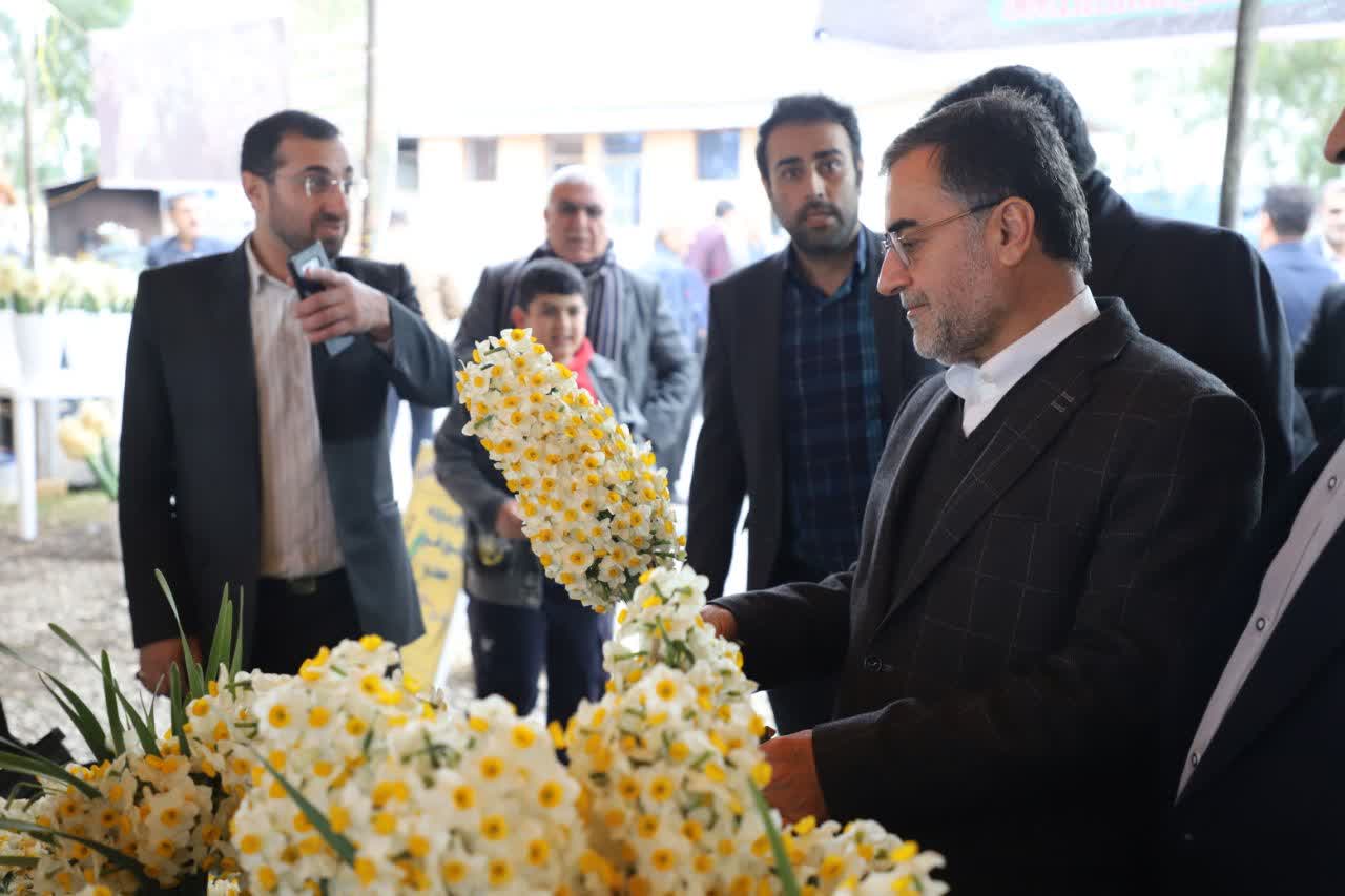 دولت از شرکت های تعاونی گل نرگس در مازندران حمایت می کند