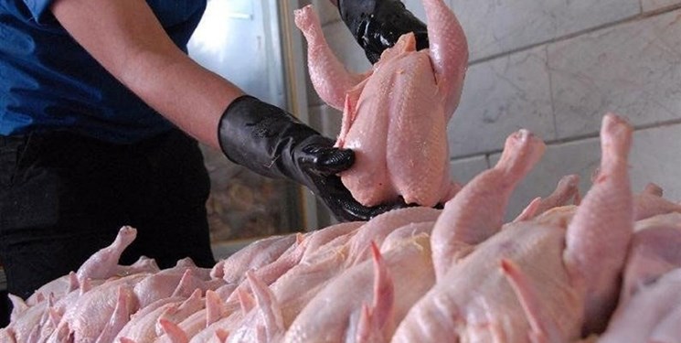 روند کاهشی قیمت مرغ در بازار مازندران