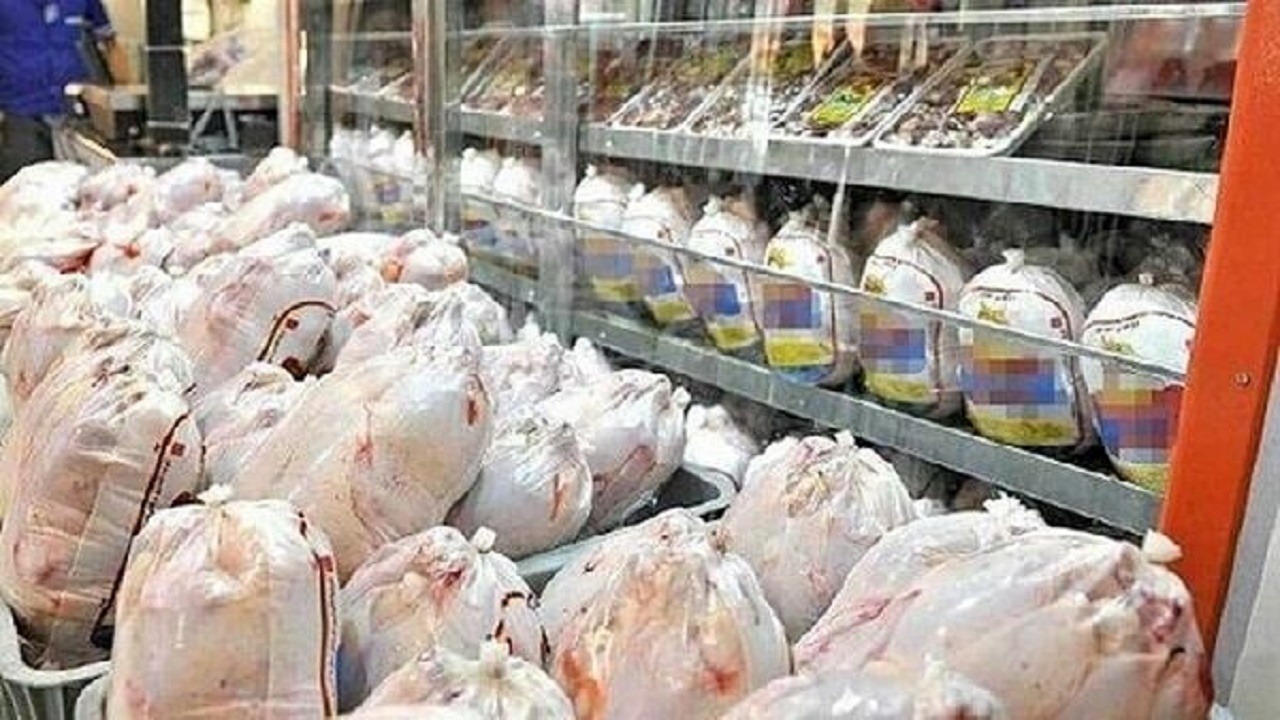 مازندران در مسیر خودکفایی تولید مرغ