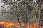 آتش سوزی جنگل های غرب مازندران مهار شد