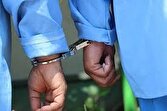 ضاربان جنگلبان نور مازندران دستگیر شدند