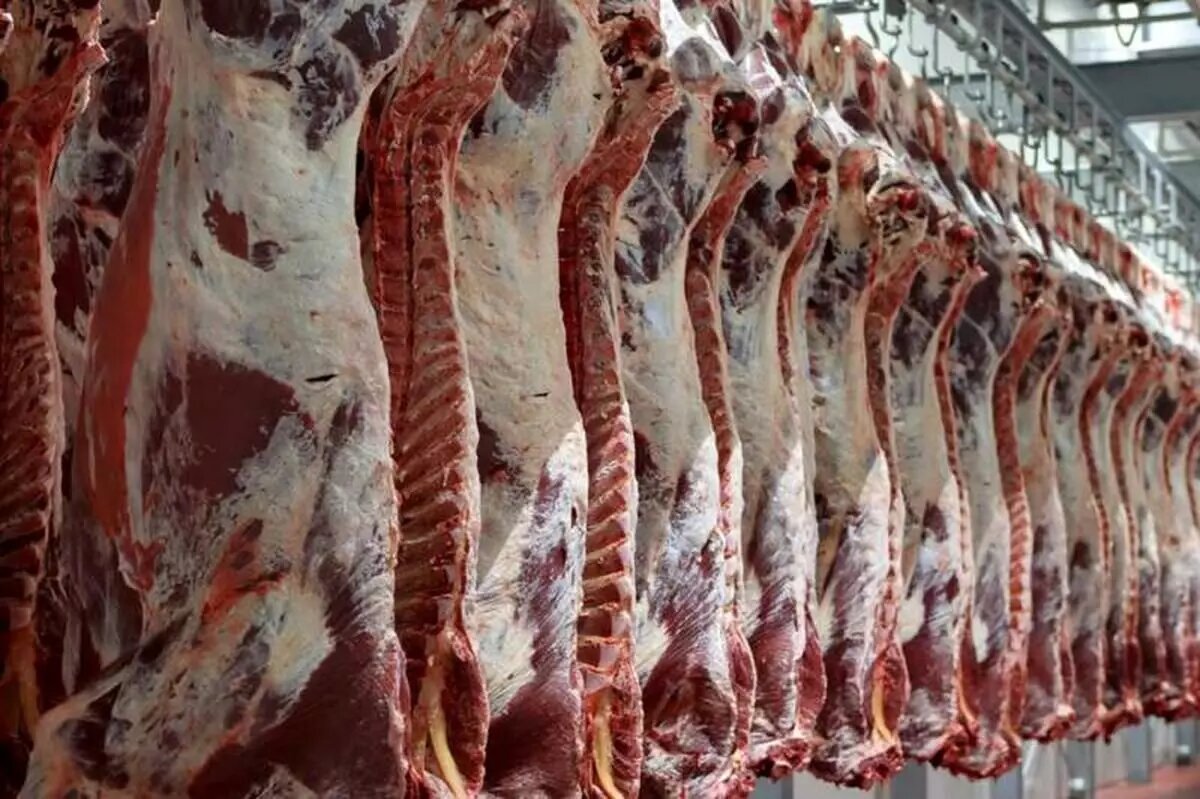 ذخیره سازی کافی گوشت و مرغ در مازندران