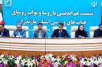 هیئات ورزشی در مازندران توانمندسازی می شوند