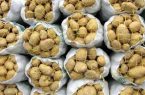تشکیل پرونده تخلف برای متصدی انبار سیب زمینی در مازندران
