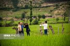افزایش کمی و کیفی خدمات نوروزی به مسافران در مازندران