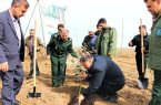 کاشت یک میلیون نهال توسط بسیج مازندران تا اردیبهشت ۱۴۰۴