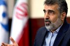 کمالوندی: ایران در احقاق حقوق خود محکم و مصمم است