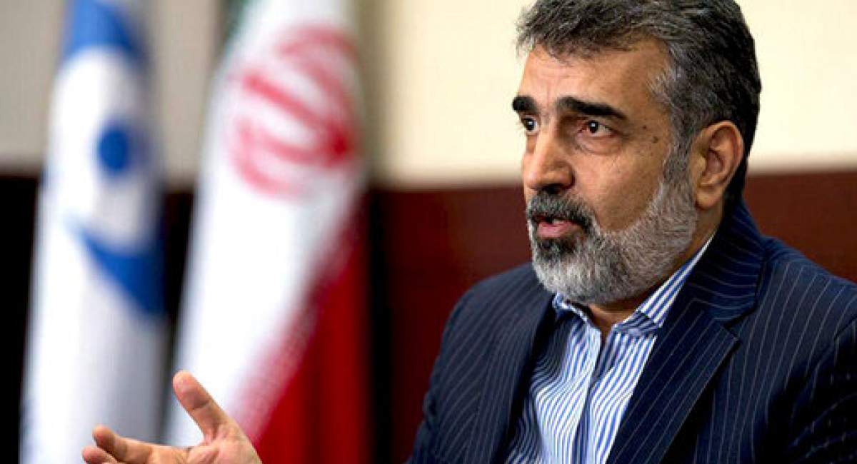 کمالوندی: ایران در احقاق حقوق خود محکم و مصمم است