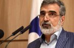 استفاده از مکانیزم ماشه عکس‌العمل شدید ایران را همراه دارد