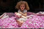 روایت گل‌چینان مازندران از صبح‌های صورتی