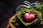 اجرای برنامه «نبض دوباره زندگی» در آمل