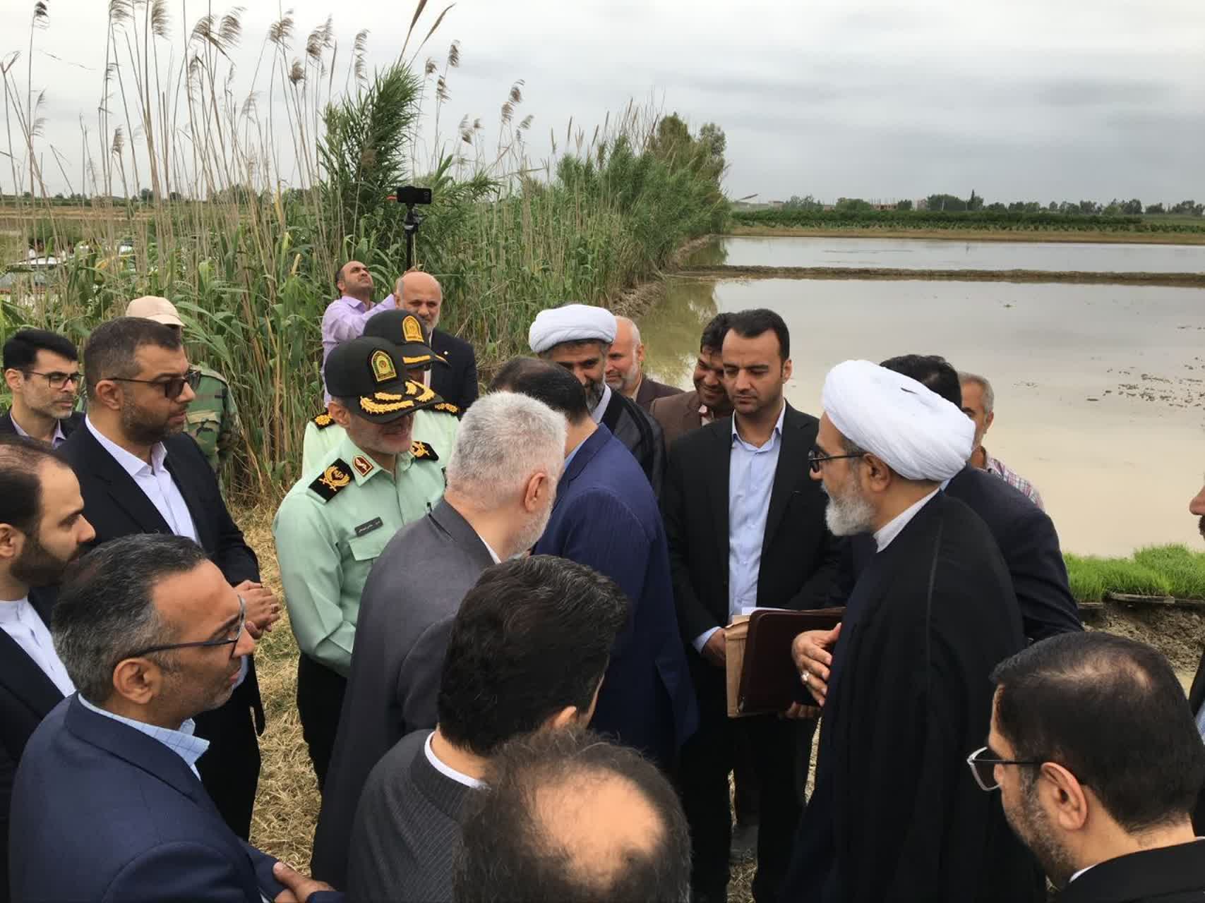 با دلالان رانت‌خوار و مفسدان در بازار برنج برخورد می‌کنیم