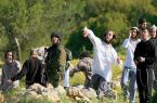 شهید و زخمی شدن 10 فلسطینی در حمله وحشیانه شهرک‌نشینان صهیونیست