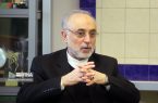 صالحی: تاسیس شعب ایران‌شناسی در استان‌ها گامی برای حفظ هویت ملی است