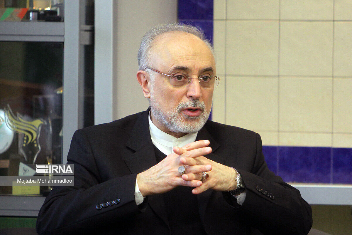 صالحی: تاسیس شعب ایران‌شناسی در استان‌ها گامی برای حفظ هویت ملی است