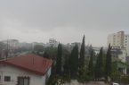 آغاز بارندگی شدید رگباری در غرب مازندران