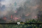 فیلم |  مهار آتش سوزی در مراتع باغی روستای مهدیرجه گلوگاه