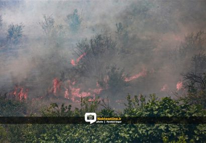 فیلم |  مهار آتش سوزی در مراتع باغی روستای مهدیرجه گلوگاه