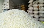 کاهش قیمت حبوبات و برنج ایرانی در بازار؛ برنج هاشمی کیلویی چند شد؟