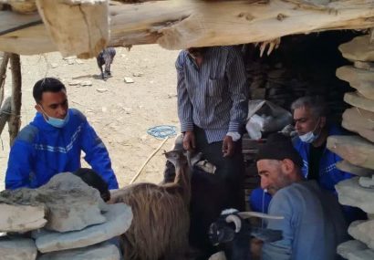 اجرای رزمایش جهاد دامپزشکی شهدای اقتدار در روستاهای شهرستان نور