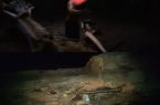قاچاقچی حرفه ای و سابقه دار در جنگل گلوگاه زمین‌ گیر شد.