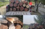 متلاشی شدن باند سازمان یافته قاچاق چوب در گلوگاه