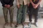 انهدام باند سارقان اماکن خصوص و متبرکه در بهشهر