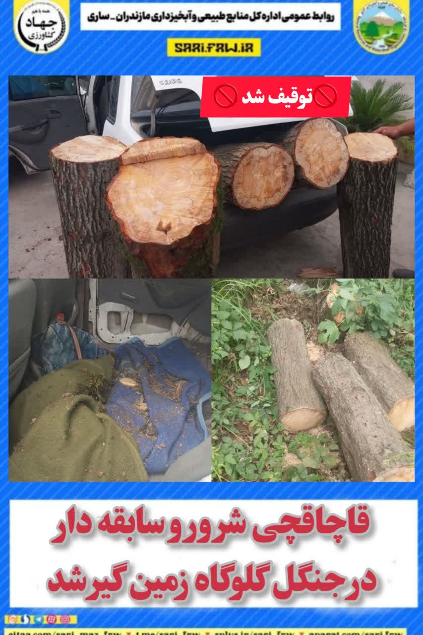 قاچاقچی شرور و سابقه دار در جنگل گلوگاه زمین گیر شد