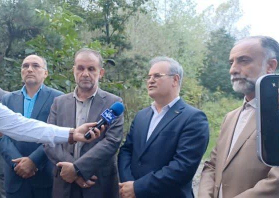 تولید دوبرابری درخت صنوبر در مازندران