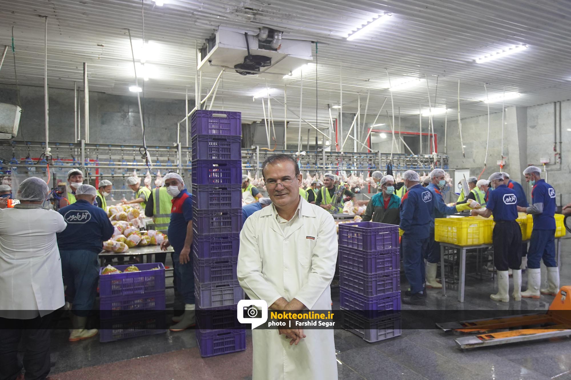 آمل طیور، ریل‌گذار صنعت مرغداری؛ از ظرفیت ۴ هزار به ۶ هزار قطعه در ساعت/ رکورد تولید در دل مشکلات