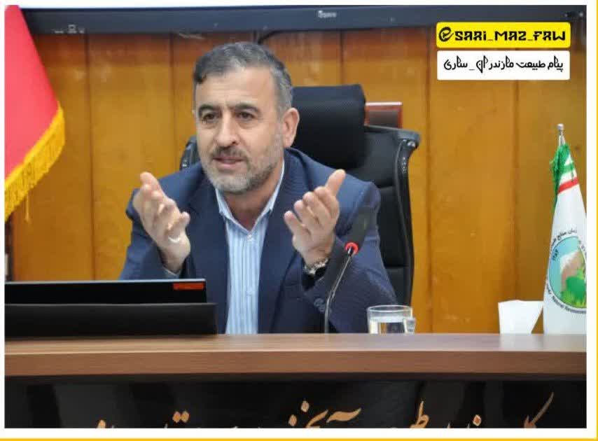 قطع درختان صنوبر، نه جنگلی”؛ تکذیب تخلف در جنگل‌های چمستان توسط مدیرکل منابع طبیعی مازندران-ساری