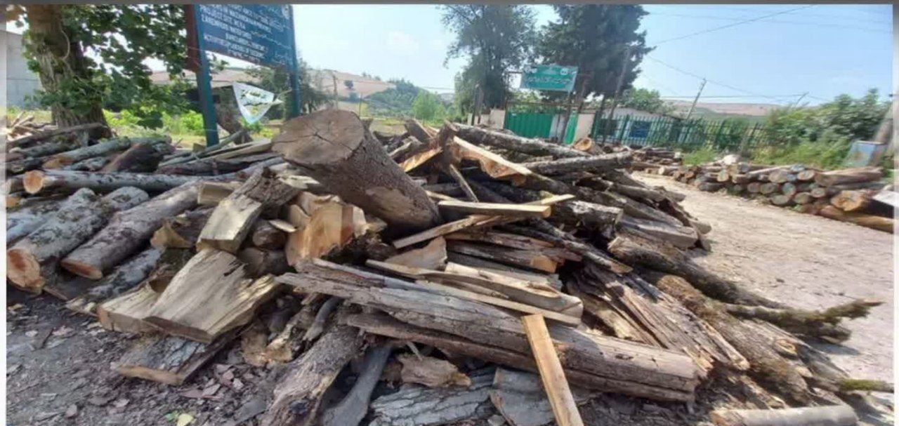 کشف 2 تن زغال از كوره هاي غير مجاز در جنگل هاي نکا